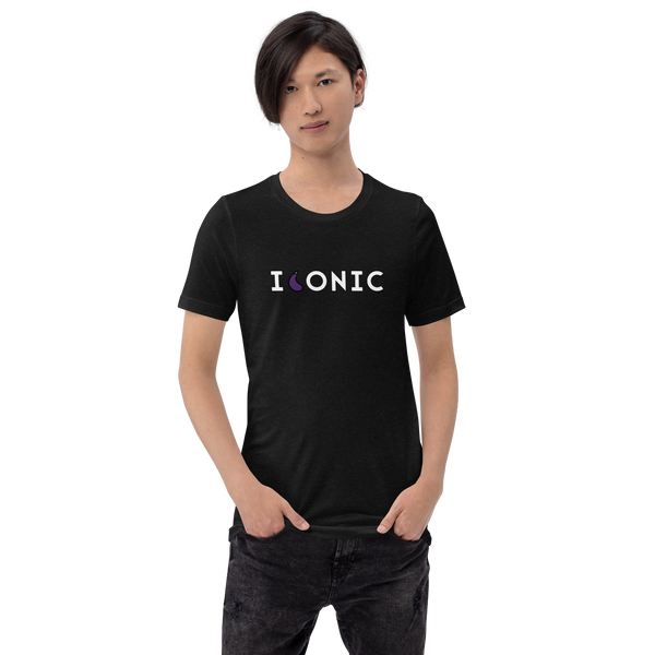 The "Iconic" Unisex t-shirt