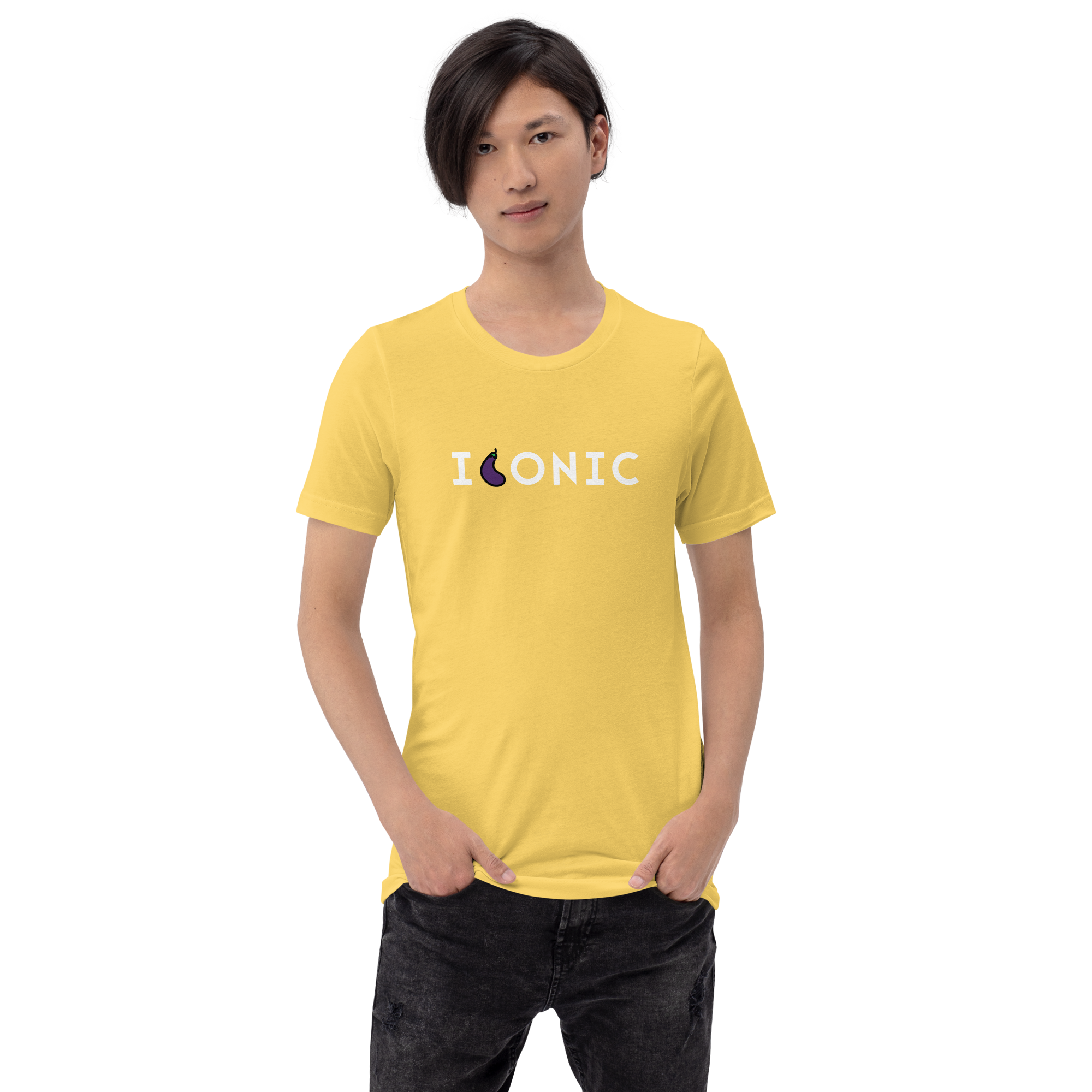 The "Iconic" Unisex t-shirt
