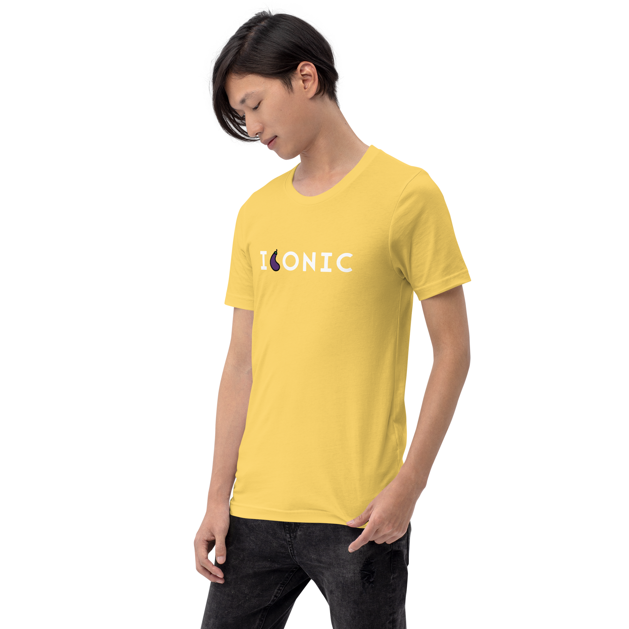 The "Iconic" Unisex t-shirt